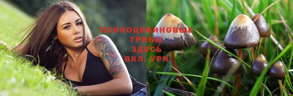 apvp Вязники