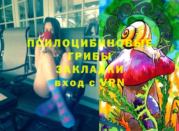 apvp Вязники